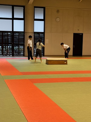 061003　エンジョイスポーツ　器械体操11